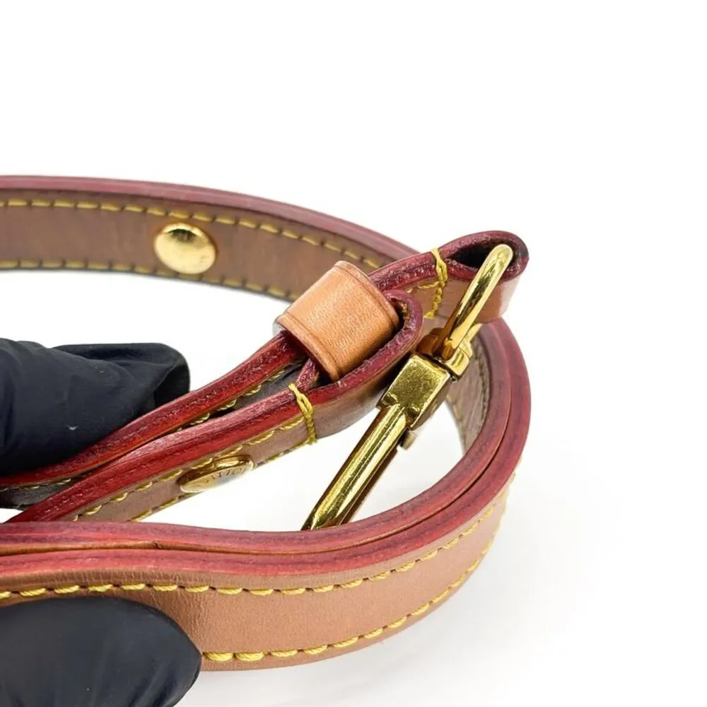 Louis Vuitton Monogram Canvas Loop Bag
